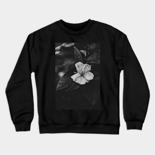 Pure. Crewneck Sweatshirt